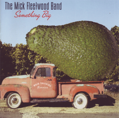 Mick Fleetwood : Something Big